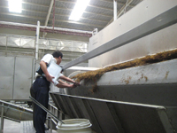 Seaweed Continous Belt Dryer