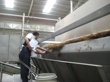 Seaweed Drying Machine